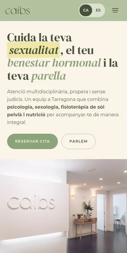 CAIBS home page on a phone, with the headline, a photo of the centre and the introduction